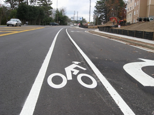 you may drive in a bike lane